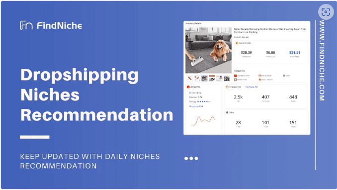 Diagram explaining how FindNiche identifies profitable dropshipping niches and products