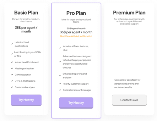 Official regular subscription pricing plans on the Meetzy website